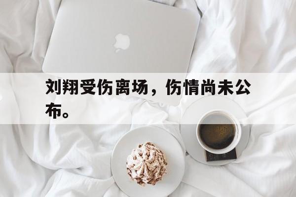 电子竞技最新官网地址-刘翔受伤离场，伤情尚未公布。